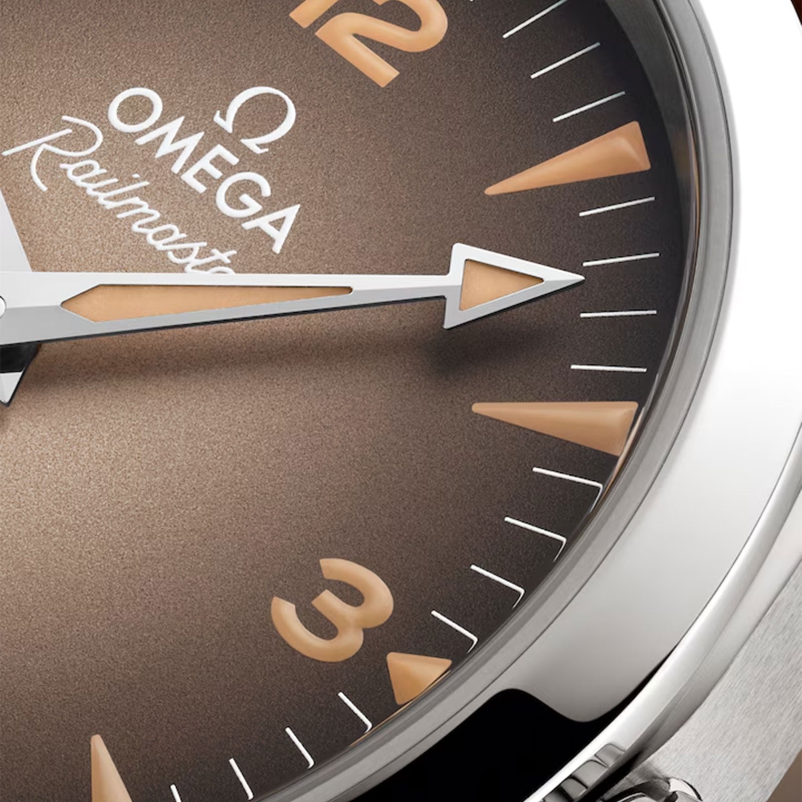 Seamaster Railmaster Co-Axial 38mm variant Pursuit