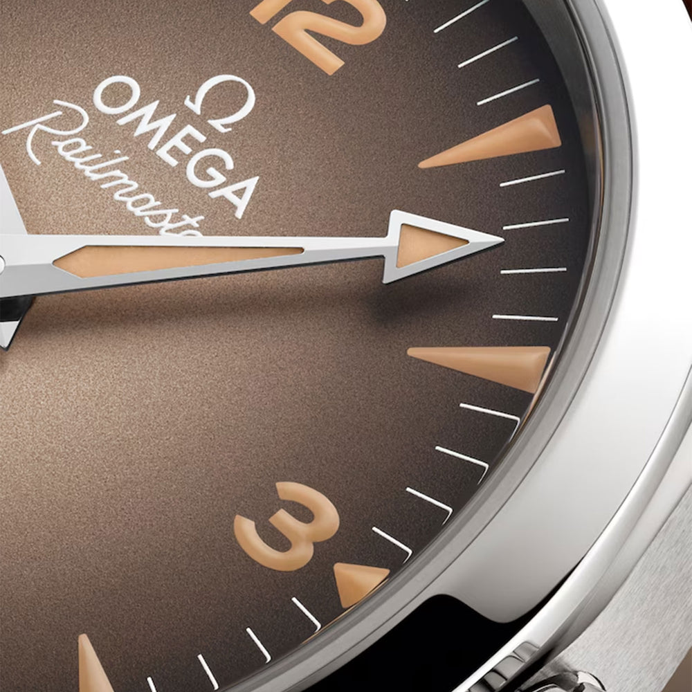 Seamaster Railmaster Co-Axial 38mm variant Pursuit