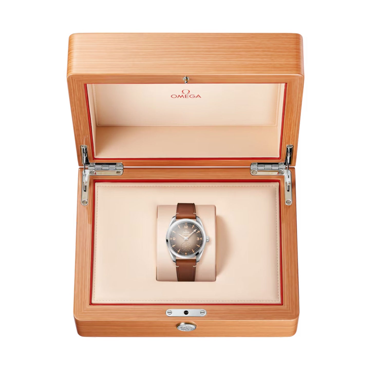 Seamaster Railmaster Co-Axial 38mm variant Pursuit