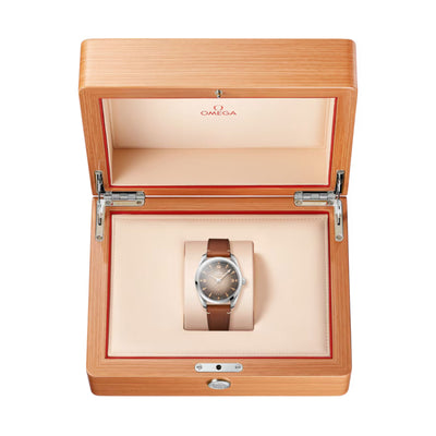 Seamaster Railmaster Co-Axial 38mm variant Pursuit