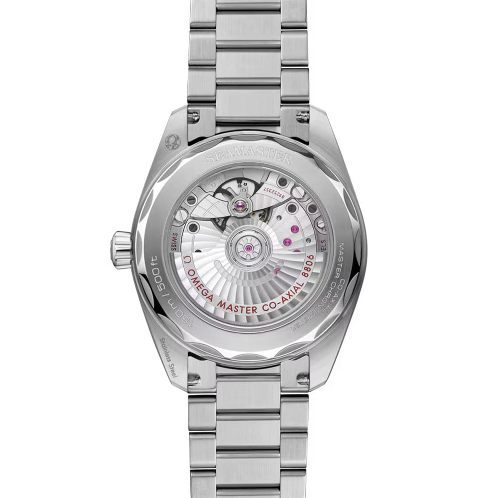 Seamaster Railmaster Co-Axial 38mm variant Pursuit