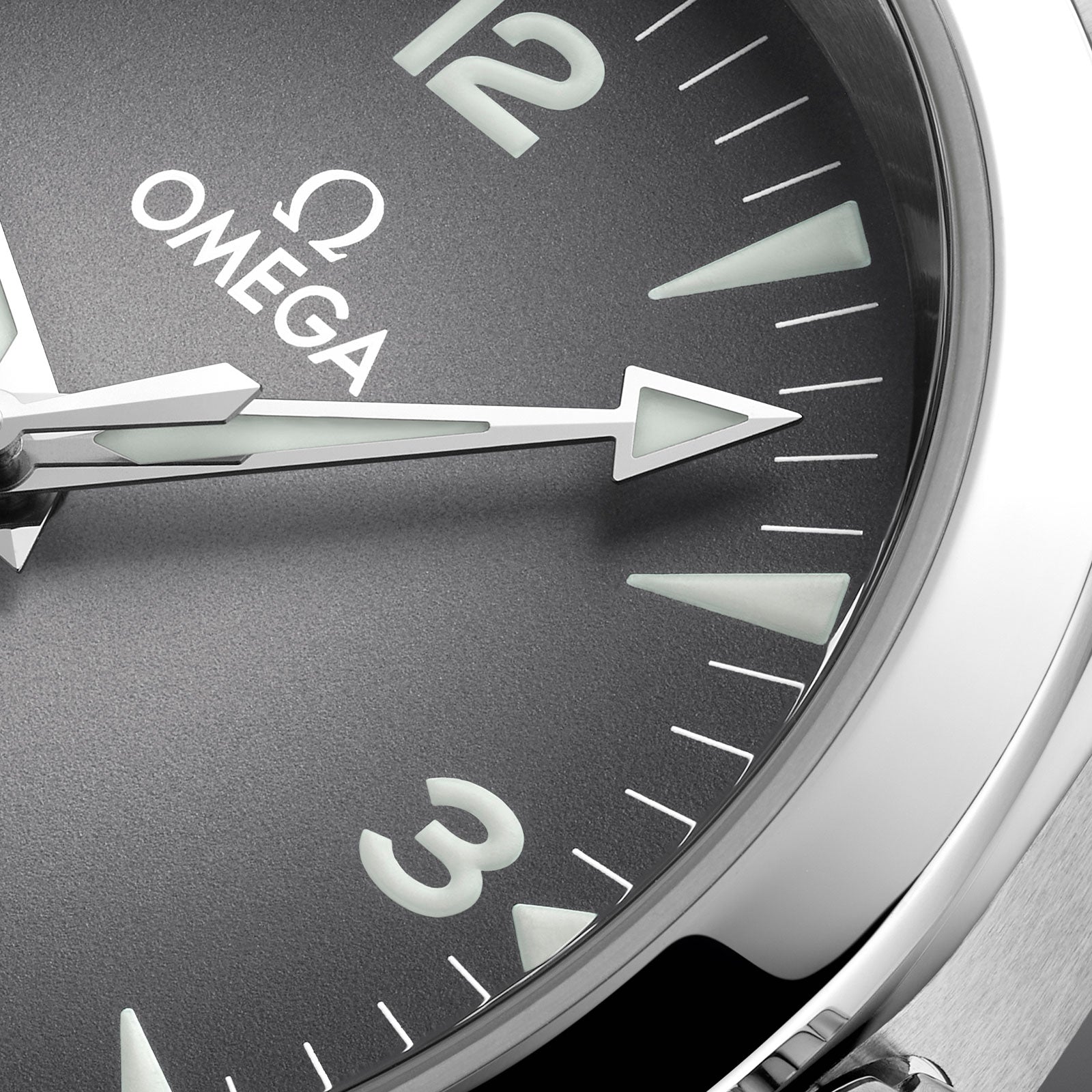 Seamaster Railmaster Co-Axial 38mm variant Pursuit