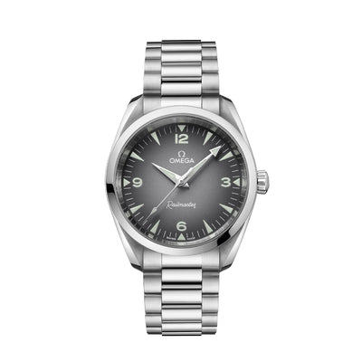 Seamaster Railmaster Co-Axial 38mm variant Pursuit