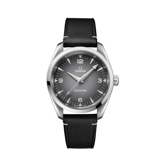 Seamaster Railmaster Co-Axial 38mm variant Pursuit