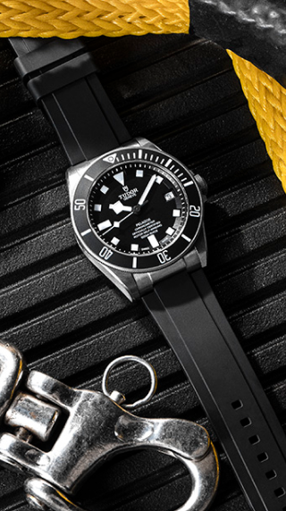 Tudor Collection Banner - 02