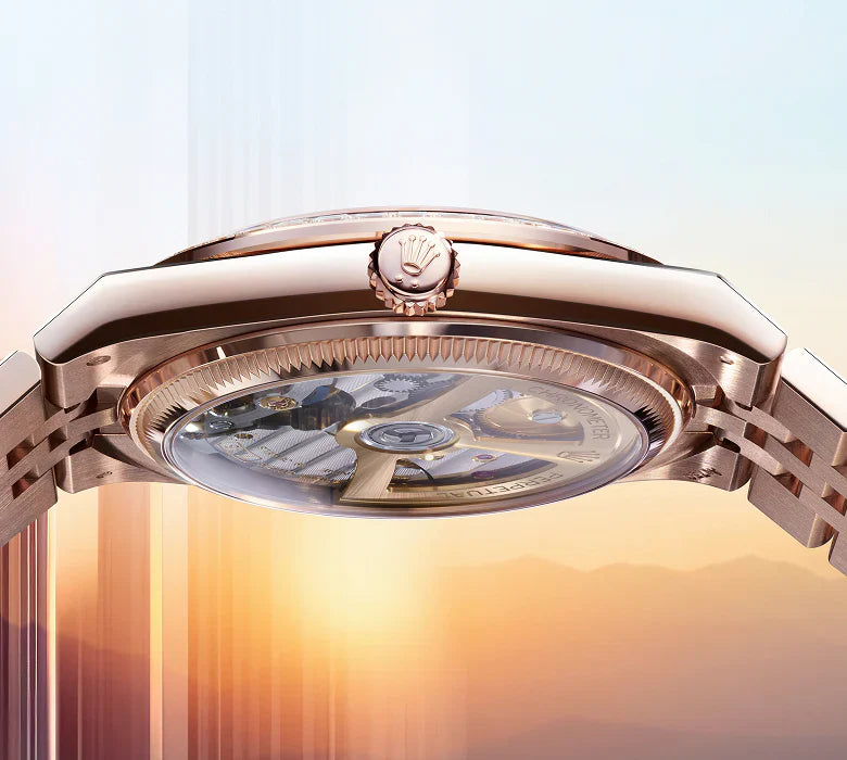Land-Dweller transparent case back