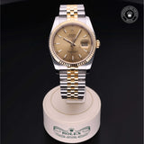 Oyster Perpetual Datejust 36 Watches Rolex