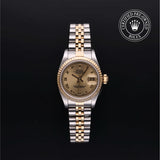 Oyster Perpetual Lady-Datejust 26 Watches Rolex