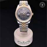 Oyster Perpetual Datejust 41 Watches Rolex