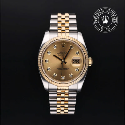 Oyster Perpetual Datejust 36 Watches Rolex