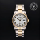 Oyster Perpetual Datejust 36 Watches Rolex