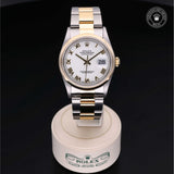 Oyster Perpetual Datejust 36 Watches Rolex