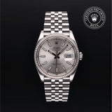 Oyster Perpetual Datejust 36 Watches Rolex