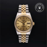 Oyster Perpetual Datejust 36 Watches Rolex