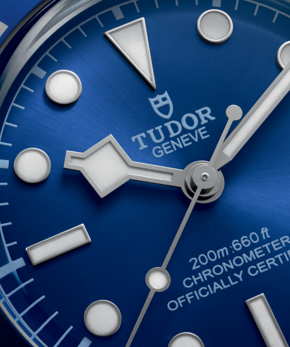 TUDOR Black Bay 54 Blue Dial