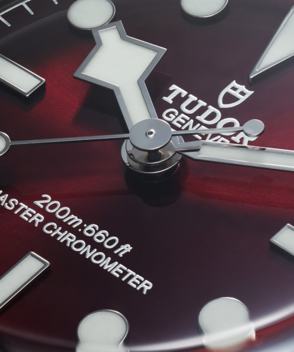 TUDOR Black Bay