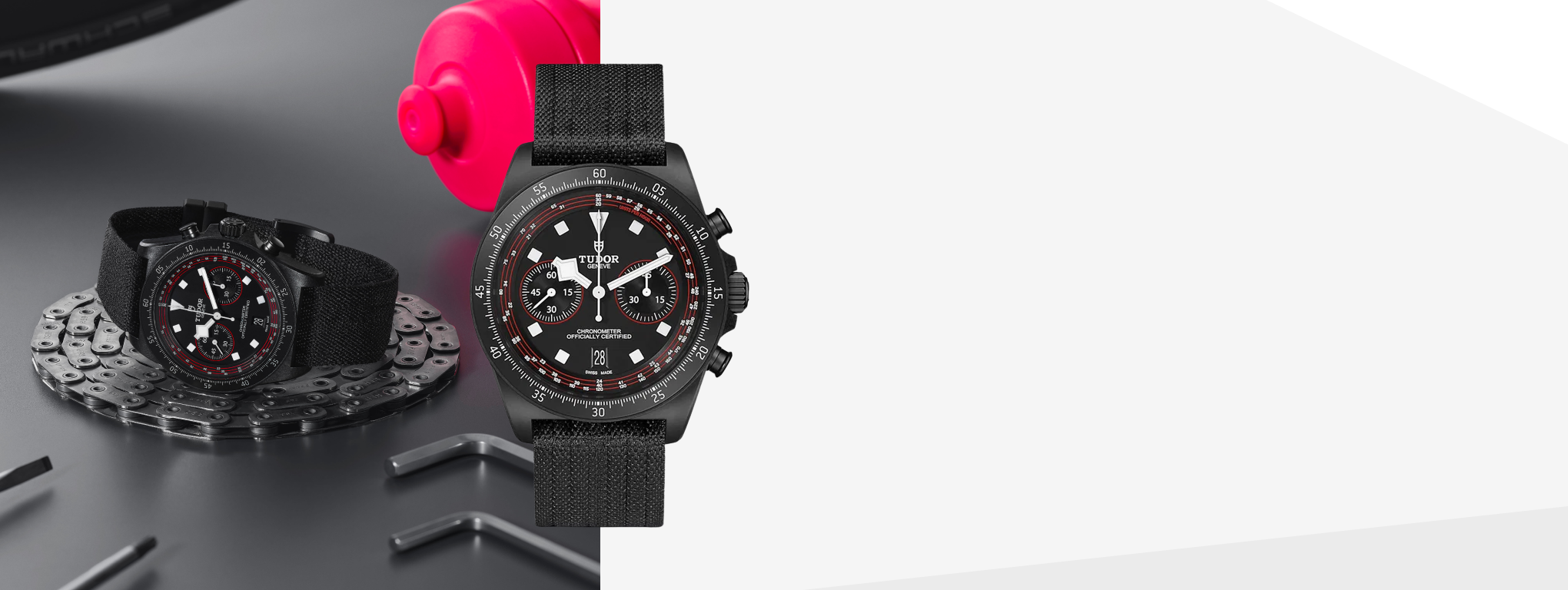 TUDOR Pelagos FXD