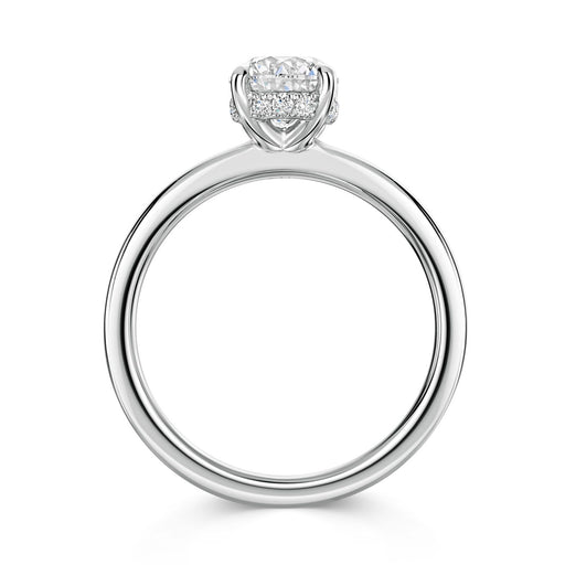 Platinum Brilliant-Cut E/F Si Diamond Solitaire Ring With Diamond Set Rail 1.00ct Ring Michael Spiers   