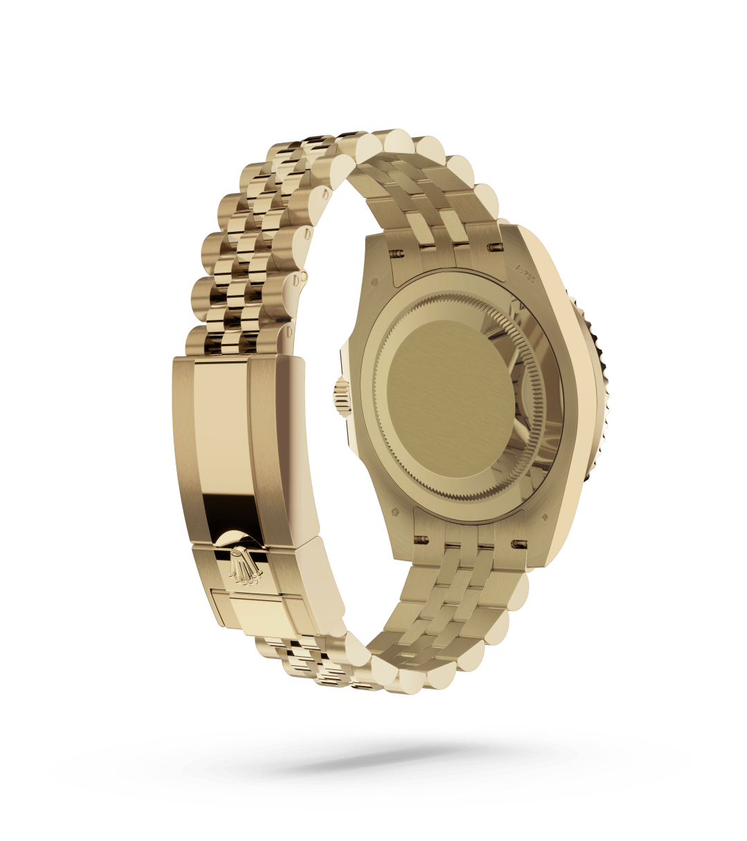 Rolex Specification Image