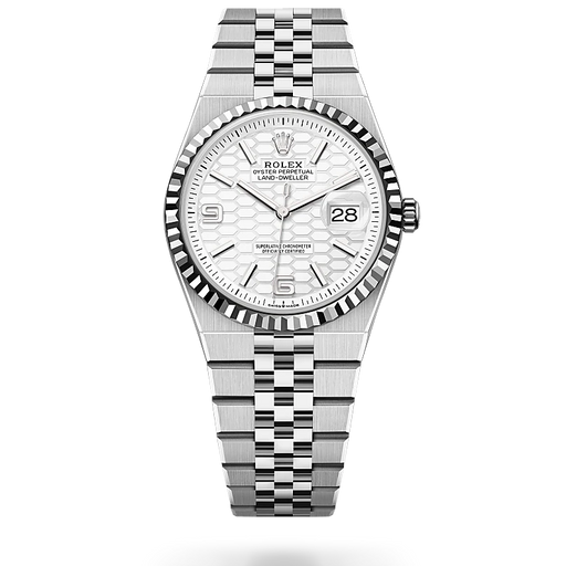 Land-Dweller 36 Rolex