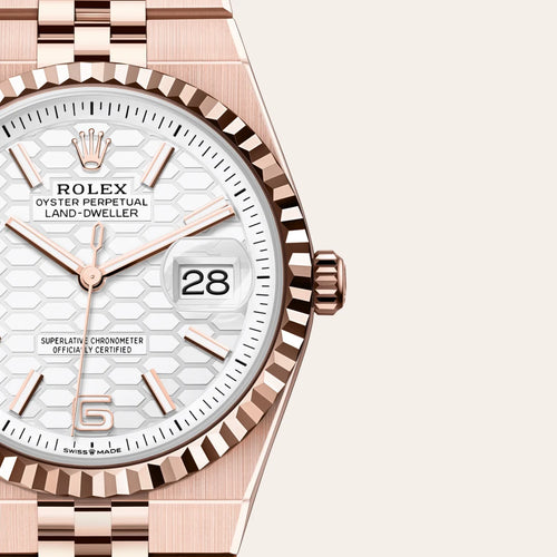 Rolex Land-Dweller 36 in 18 ct Everose gold with a Intense white, honeycomb motif dial, Fluted bezel, Flat Jubilee, five-piece solid links bracelet