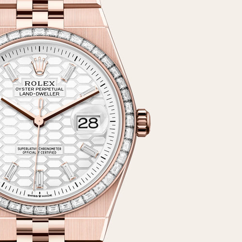 Rolex Land-Dweller 36 in 18 ct Everose gold with a Intense white, honeycomb motif set with diamonds dial, Set with diamonds bezel, Flat Jubilee, five-piece solid links bracelet
