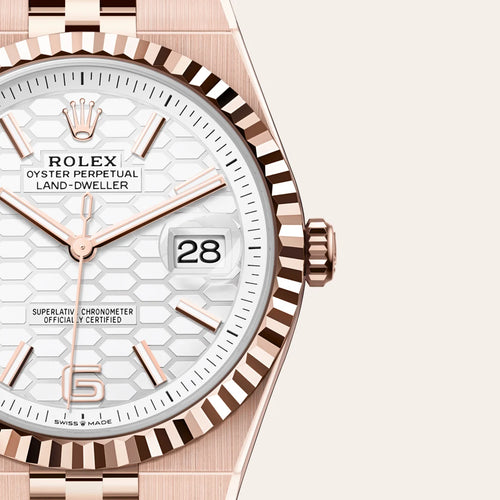 Rolex Land-Dweller 40 in 18 ct Everose gold with a Intense white, honeycomb motif dial, Fluted bezel, Flat Jubilee, five-piece solid links bracelet