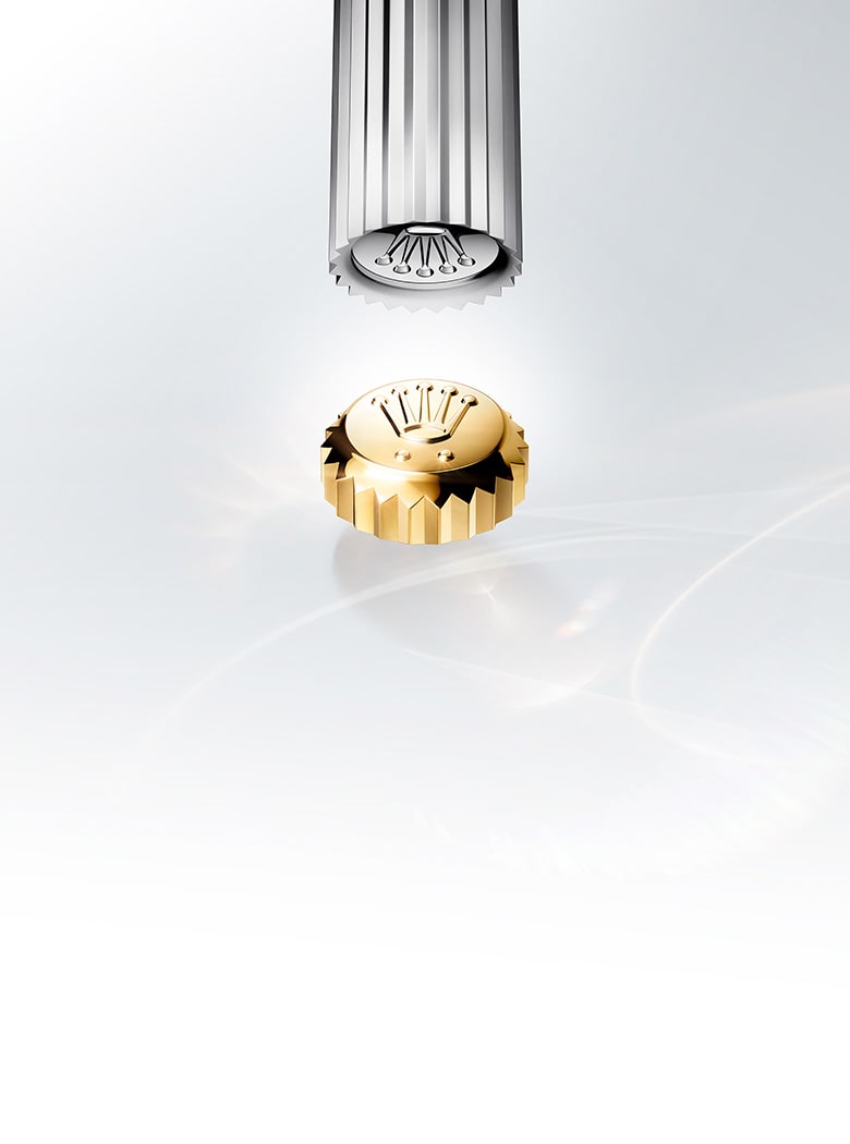 Discover Rolex Banner