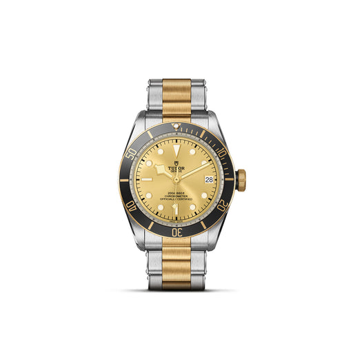 TUDOR Black Bay S&G M79733N-0004 Watches Tudor   