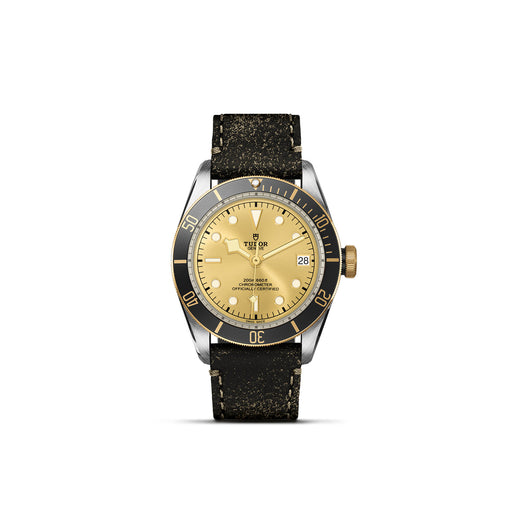 TUDOR Black Bay S&G M79733N-0003 Watches Tudor   