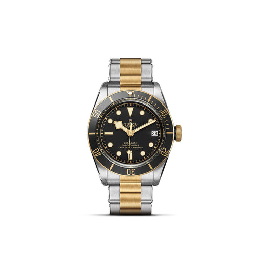 TUDOR Black Bay S&G M79733N-0008 Watches Tudor I952107  