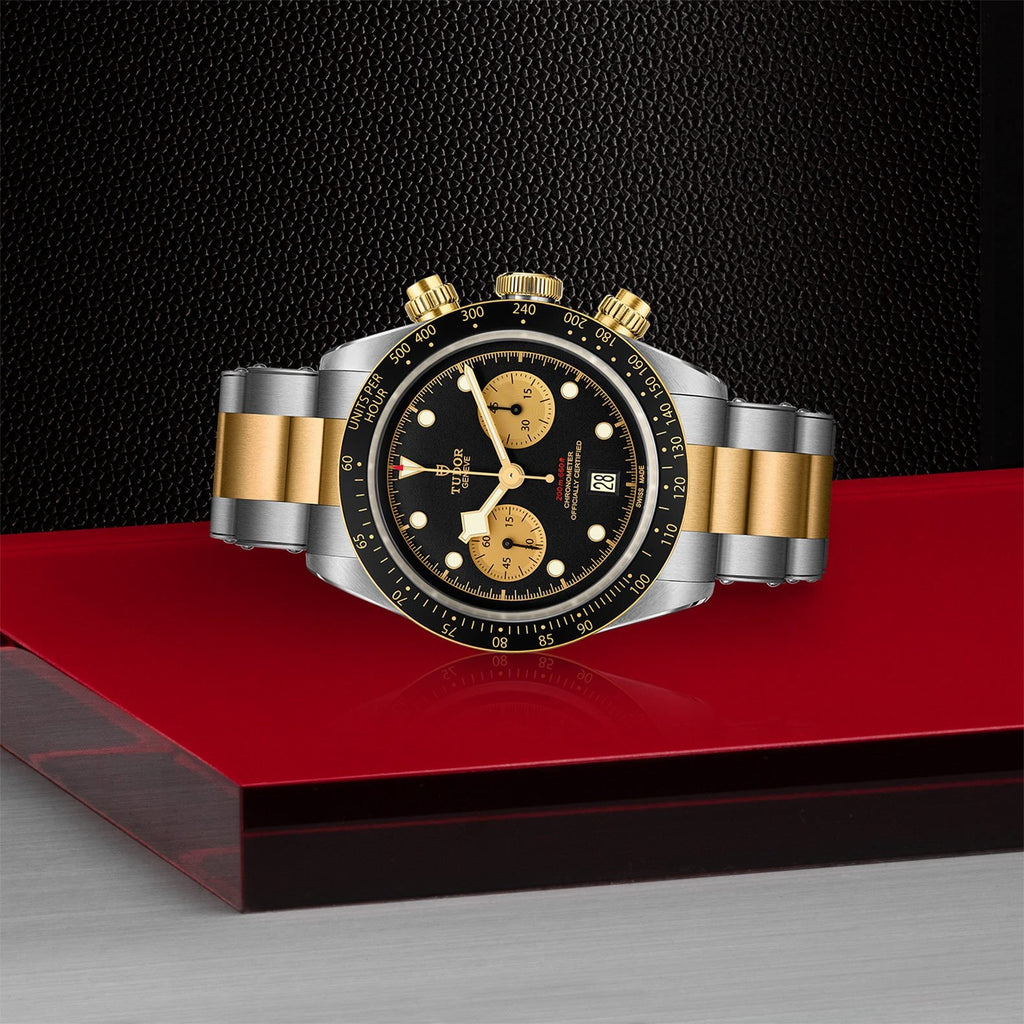 Tudor black bay sale heritage s&g