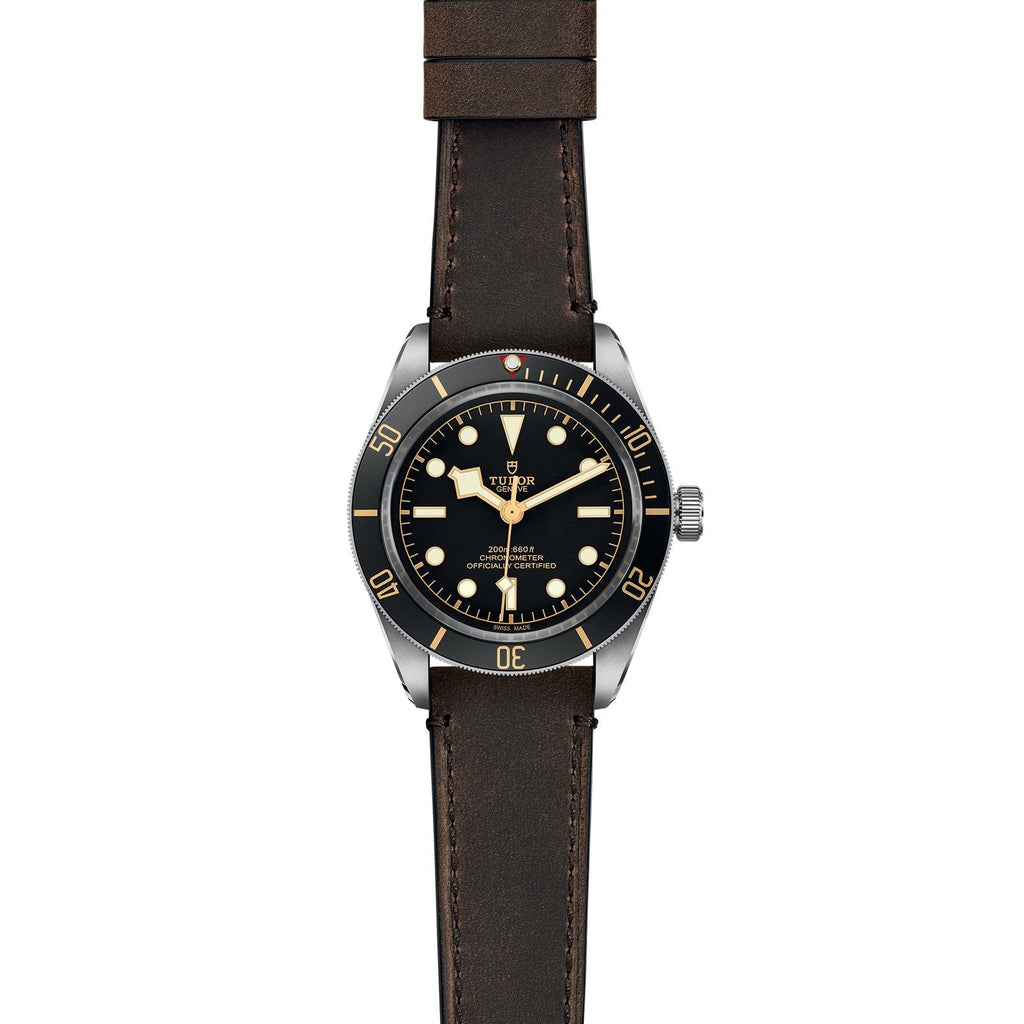 TUDOR Black Bay 58 M79030N 0002