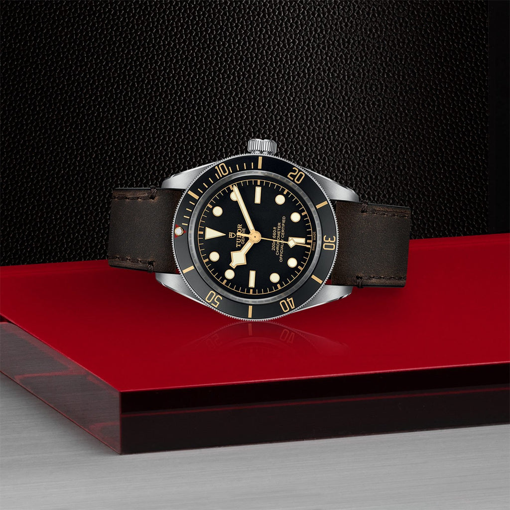 TUDOR Black Bay 58 M79030N 0002