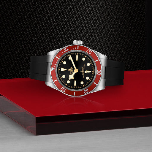 Tudor black bay online 41 red